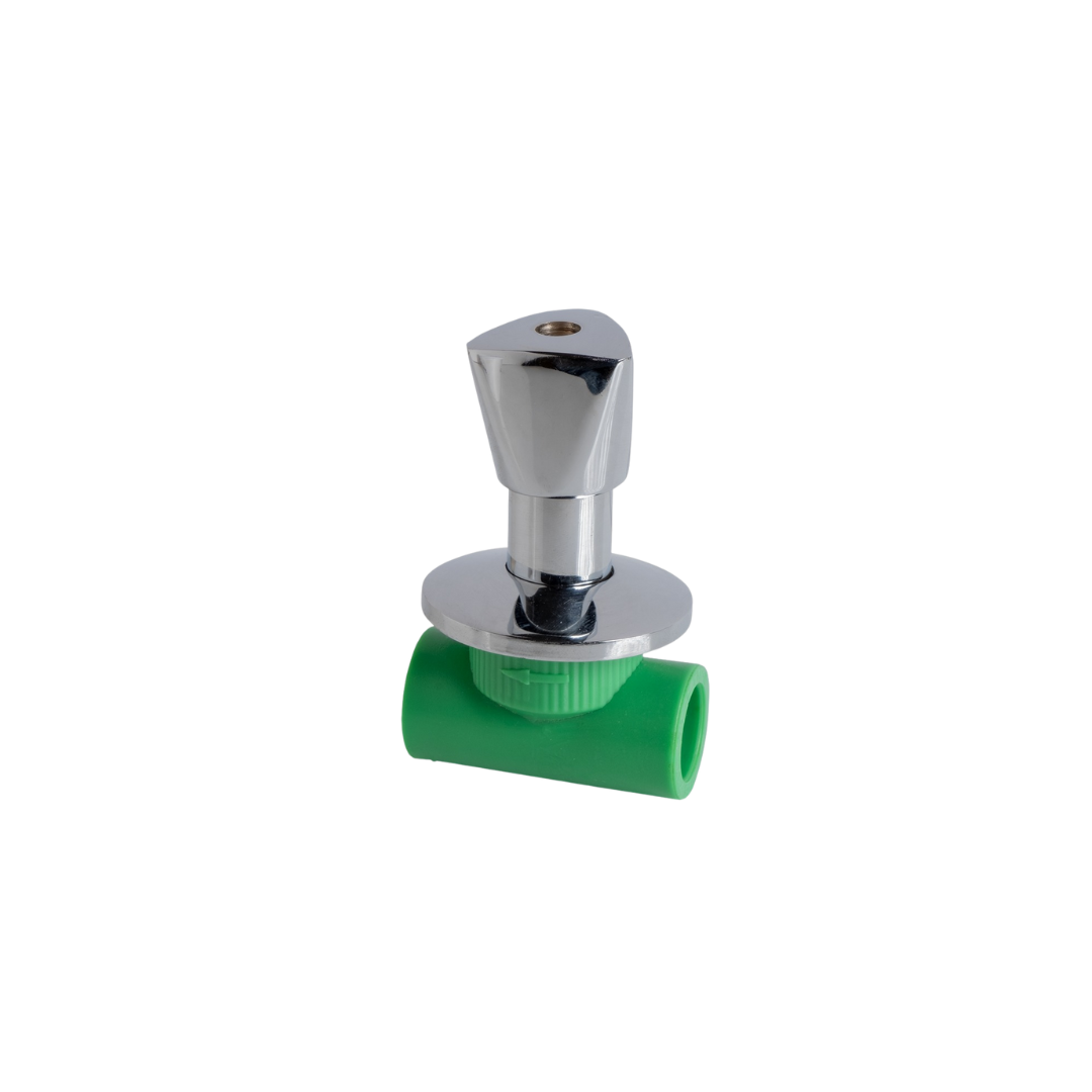 ECONOMIC CHROMIOM GATE VALVE